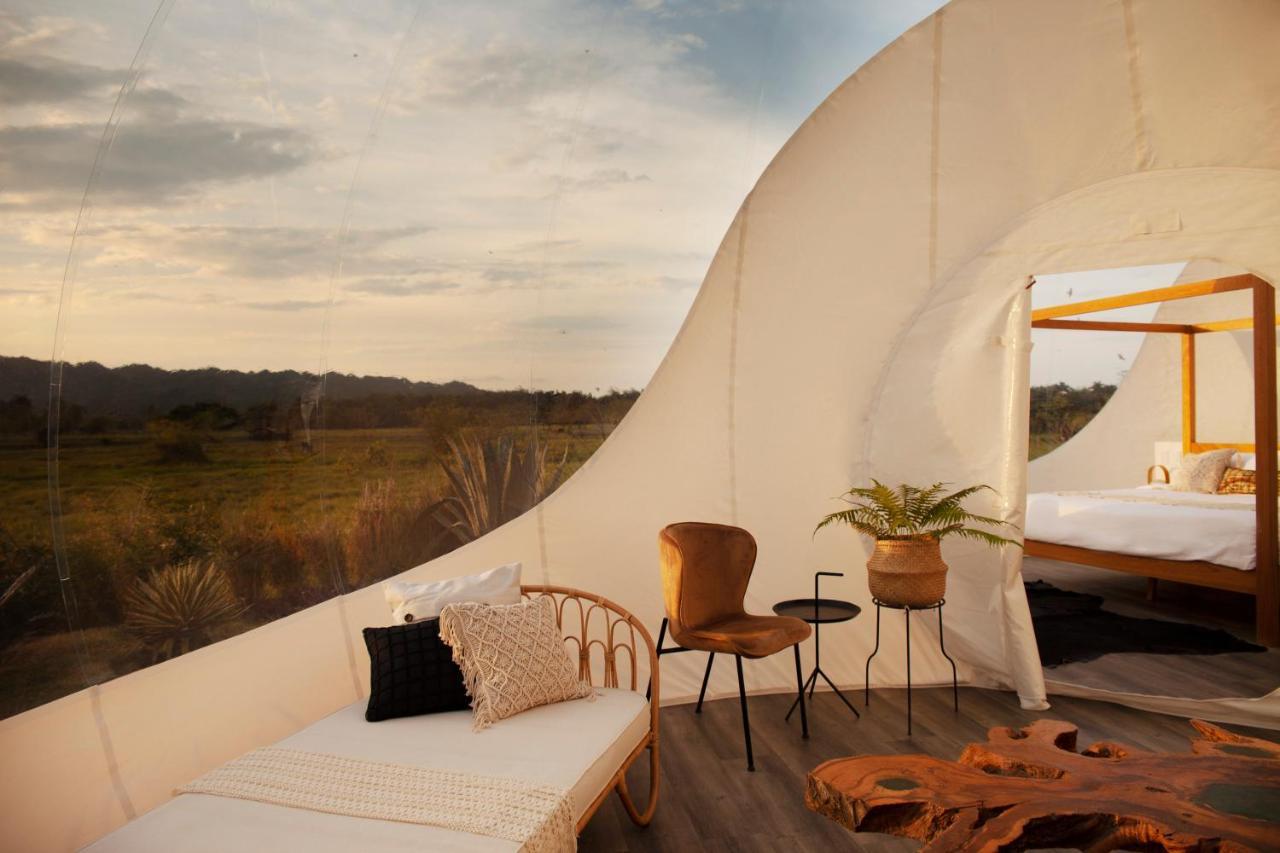 Green Land Bubble Glamping By Mint Cabarete Exterior foto