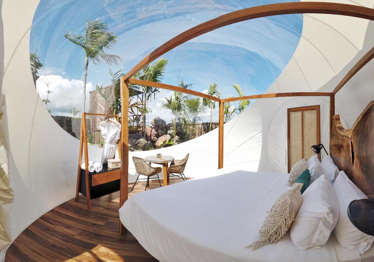 Green Land Bubble Glamping By Mint Cabarete Exterior foto