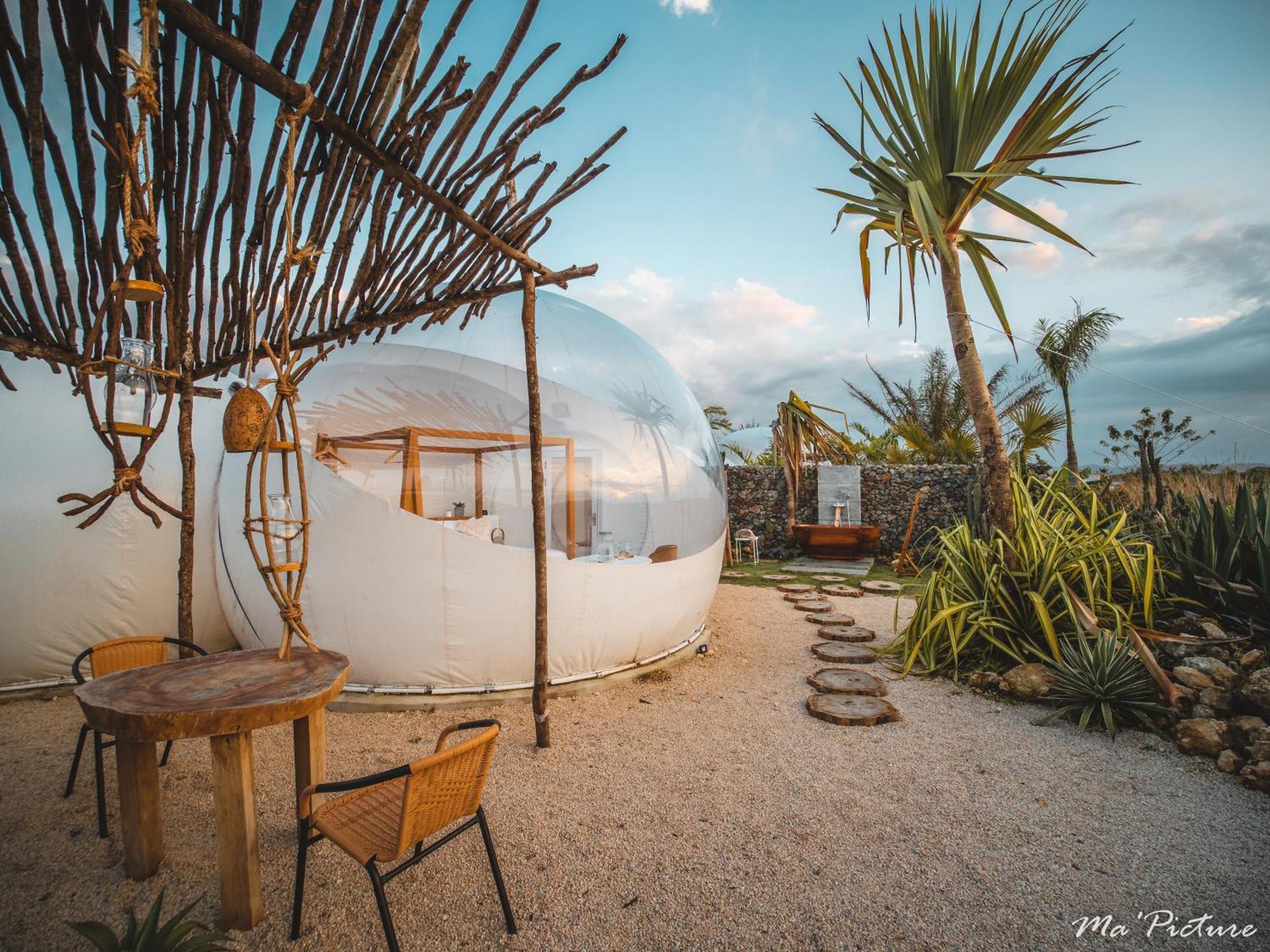 Green Land Bubble Glamping By Mint Cabarete Habitación foto
