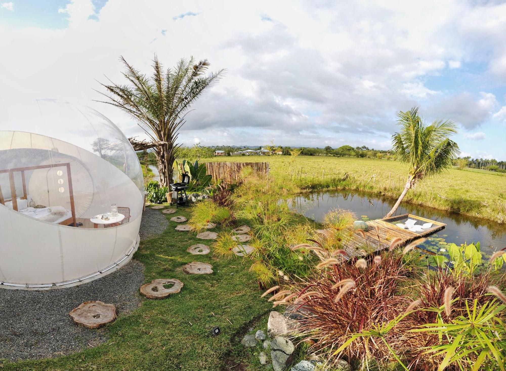 Green Land Bubble Glamping By Mint Cabarete Habitación foto