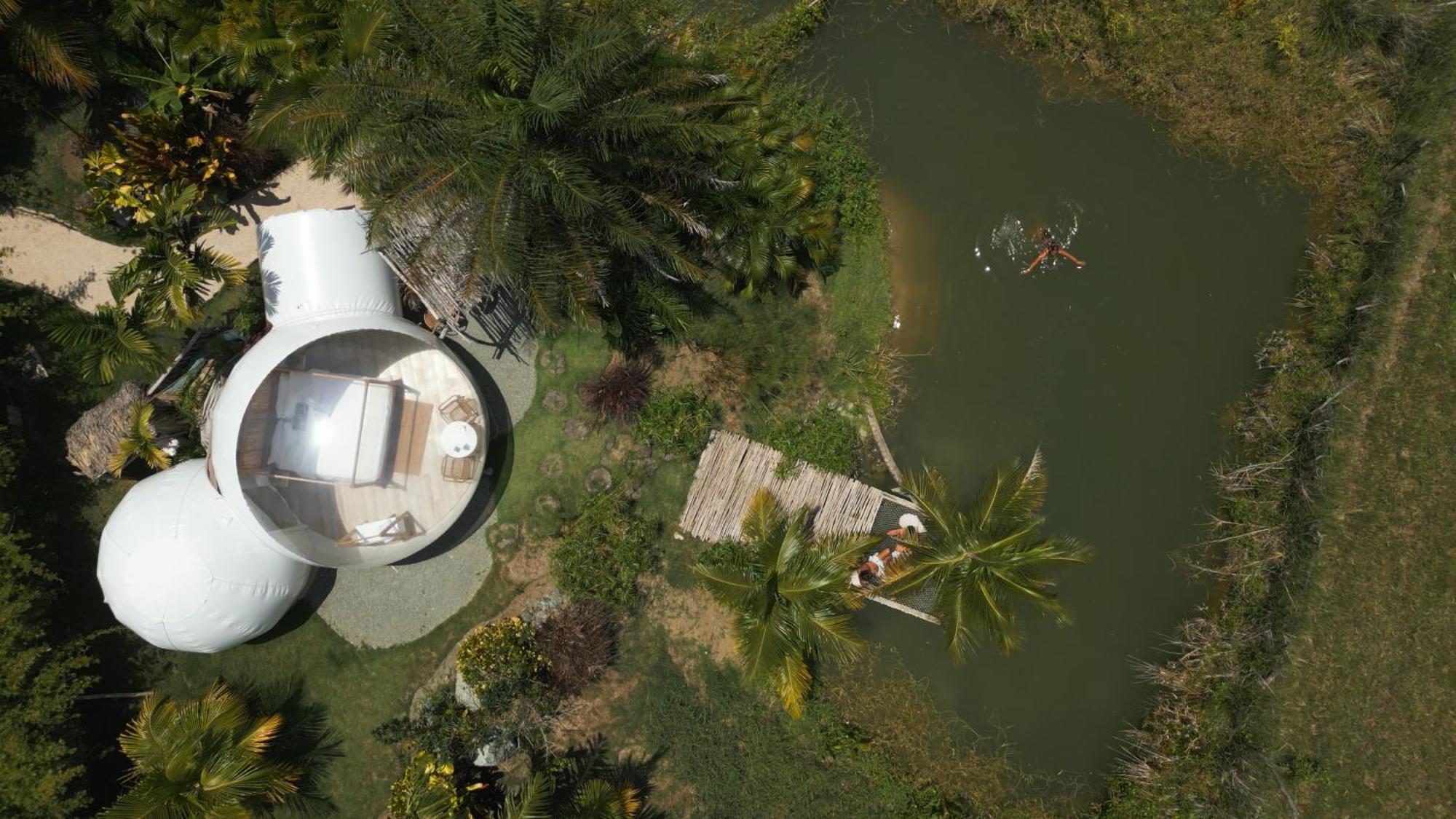Green Land Bubble Glamping By Mint Cabarete Habitación foto