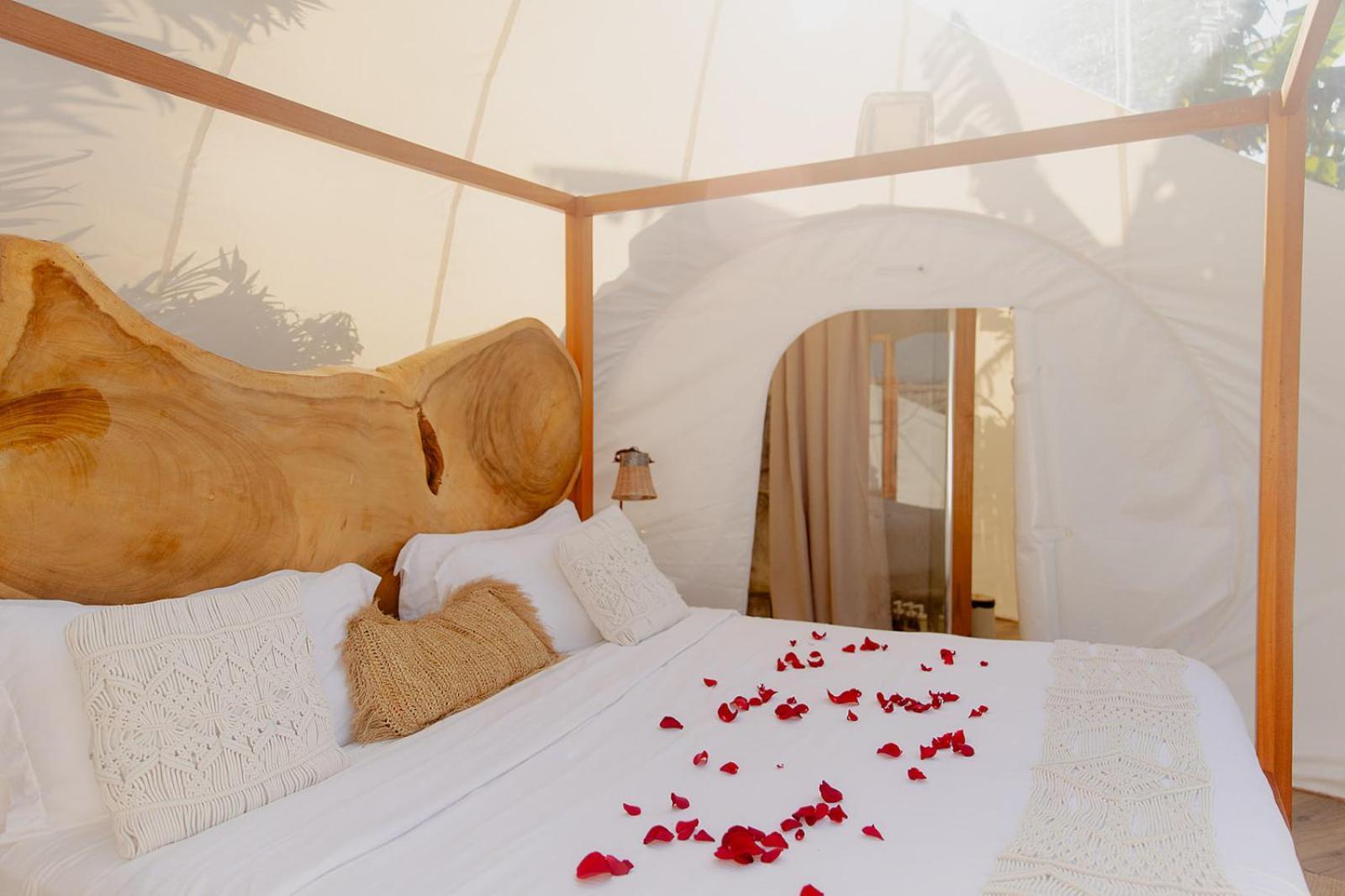 Green Land Bubble Glamping By Mint Cabarete Exterior foto