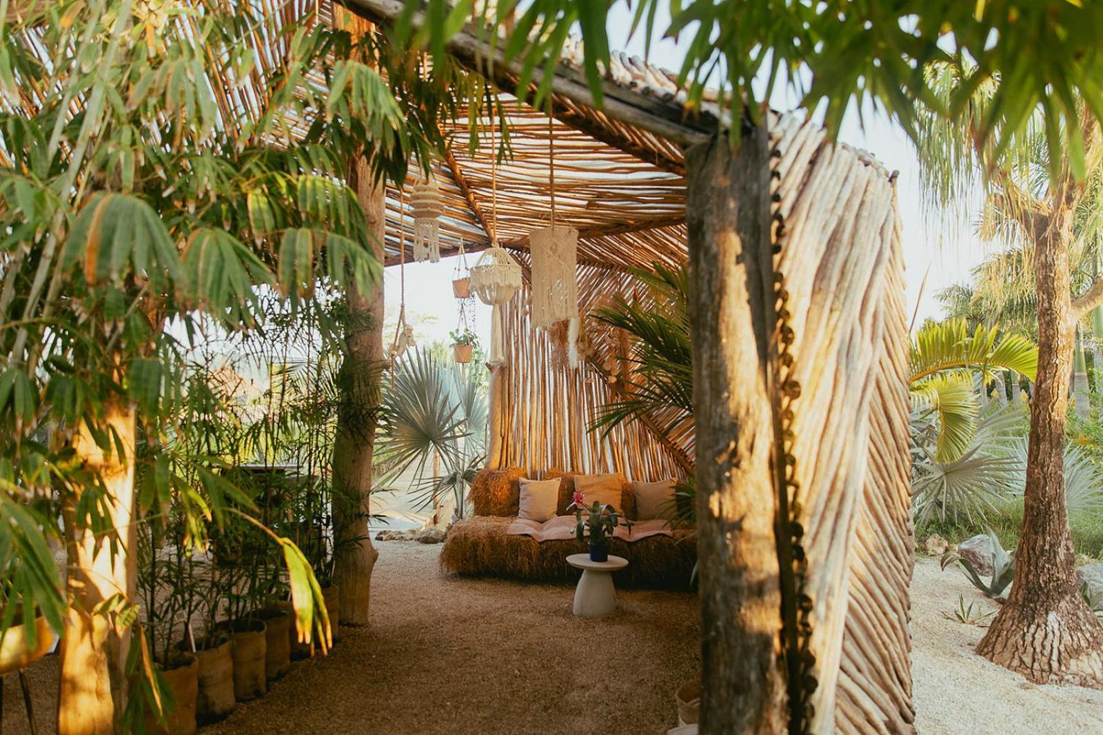 Green Land Bubble Glamping By Mint Cabarete Exterior foto